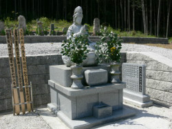 代替画像