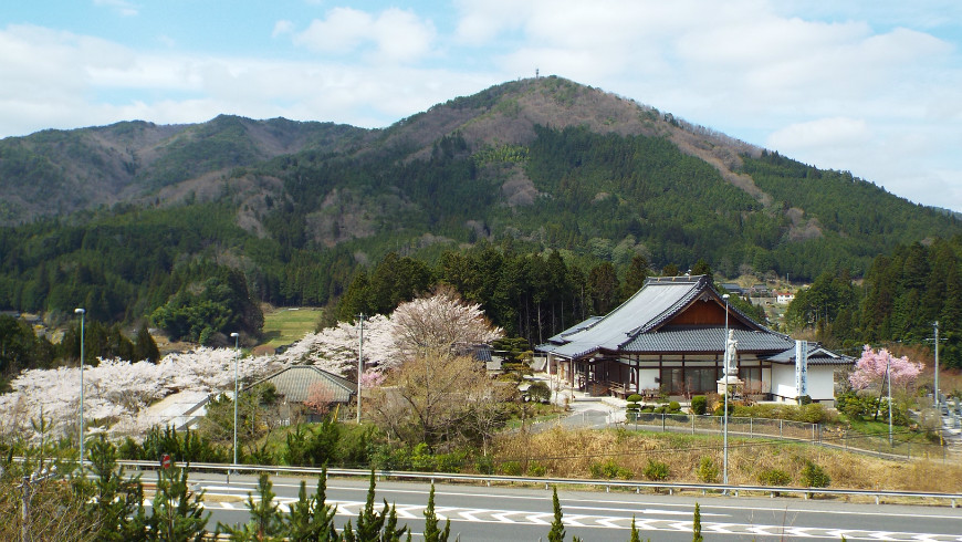 春の本誓寺