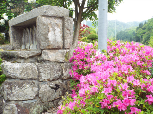 本誓寺冬の参道