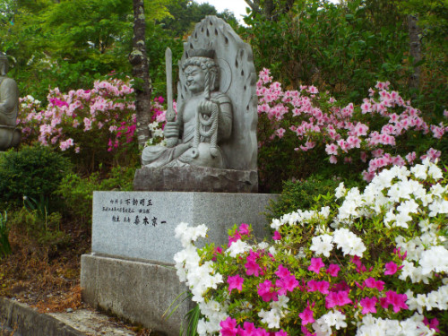 本誓寺夏の参道