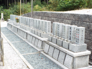 代替画像